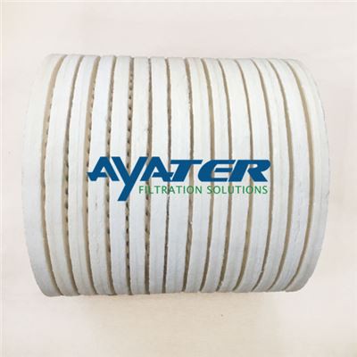 Wind Turbine Off-line Fine Filter B2727 (3)_