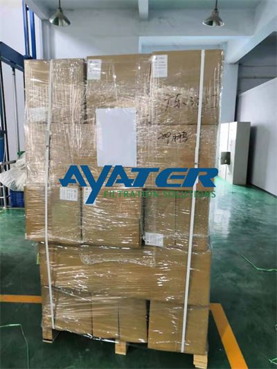 AYATER (196) AYATER (196)